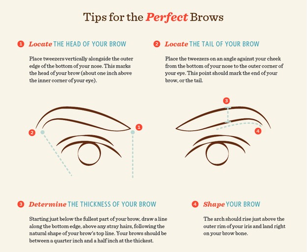 16 Diagrams To Get The Eyebrows Of Your Dreams! Musely