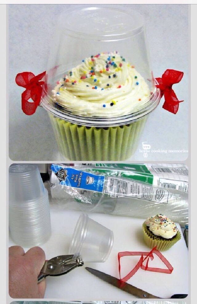 DIY Cupcake Holders Musely