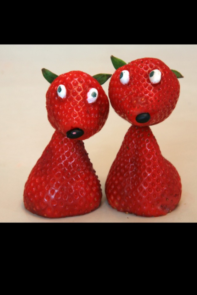 Fruit Animals Musely