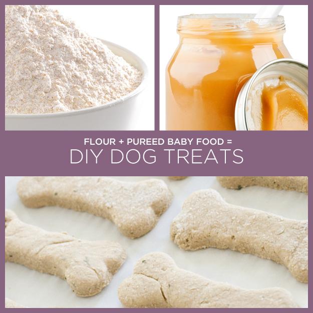 Dog Treats With Oatmeal And Baby Food Dog Treats With Oatmeal And Baby Food