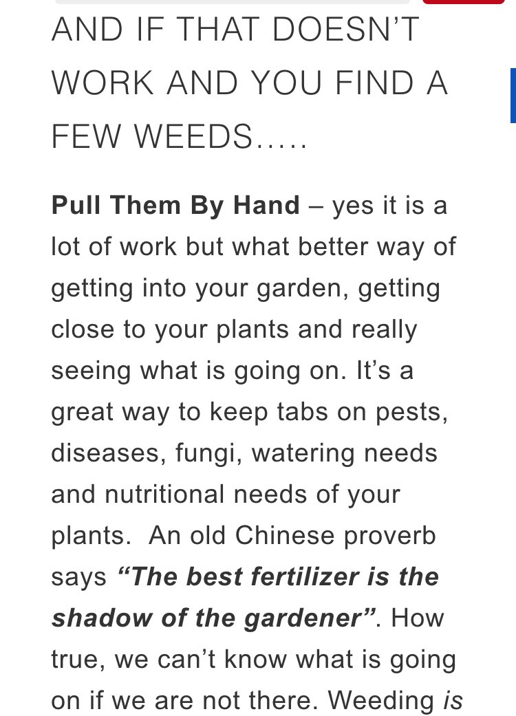 10 Ways To Keep Weeds Out Of The Garden!! - Musely