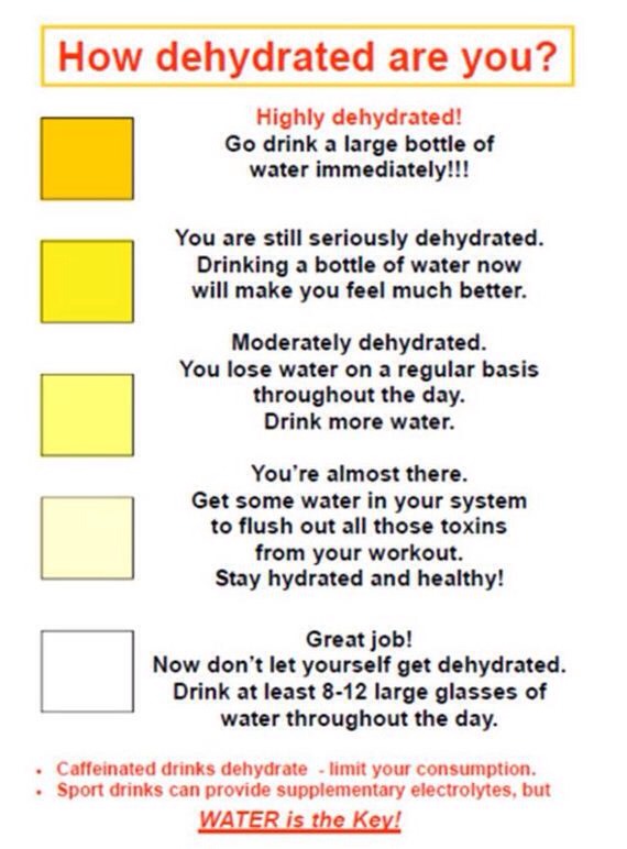 Dehydration Indicator Musely