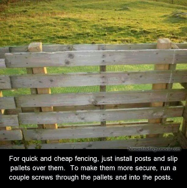 Quick and Easy Fence! Musely