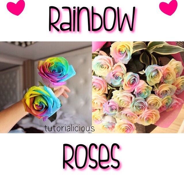 how to make rainbow roses Musely
