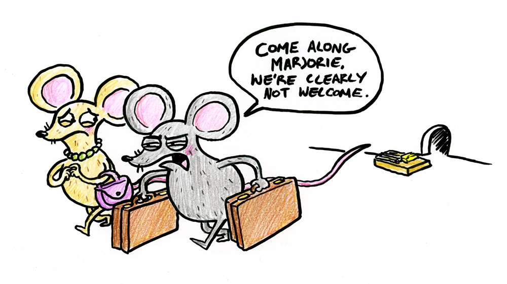 Outsmart Mice! Great Tips To Ensure Successful Removal Of Your Unwanted House Guests Musely