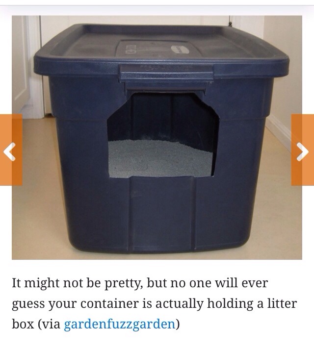 🎀 9 Creative Ways To Hide Your Cat's Litter Box🎀 Musely