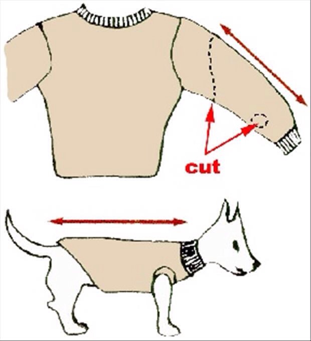 Make A Puppy Sweater Out Of Any Old Sweater! Musely