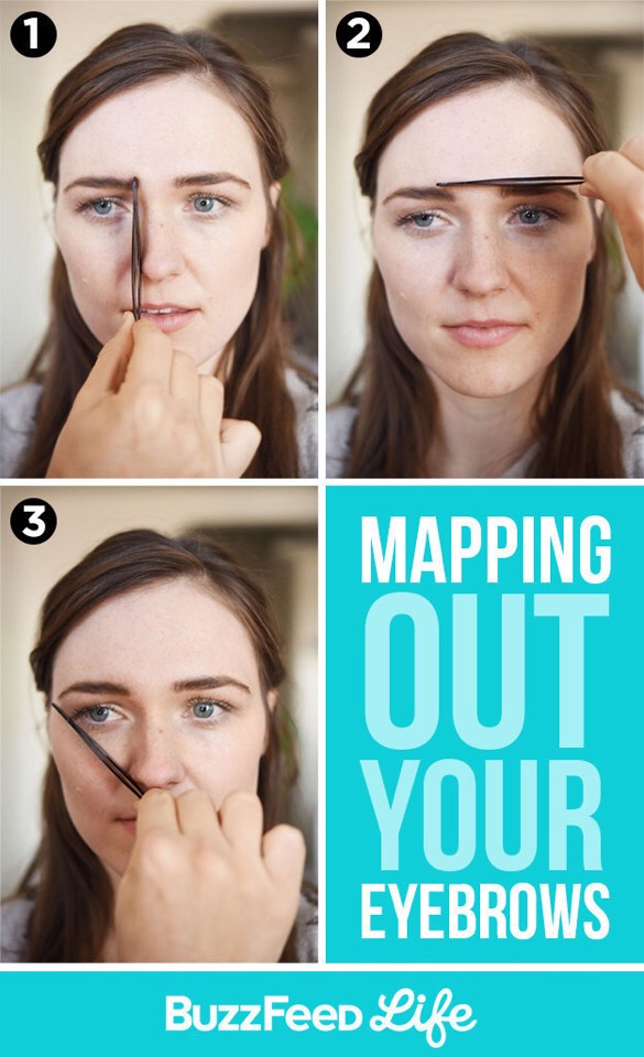 16 Diagrams To Get The Eyebrows Of Your Dreams! Musely
