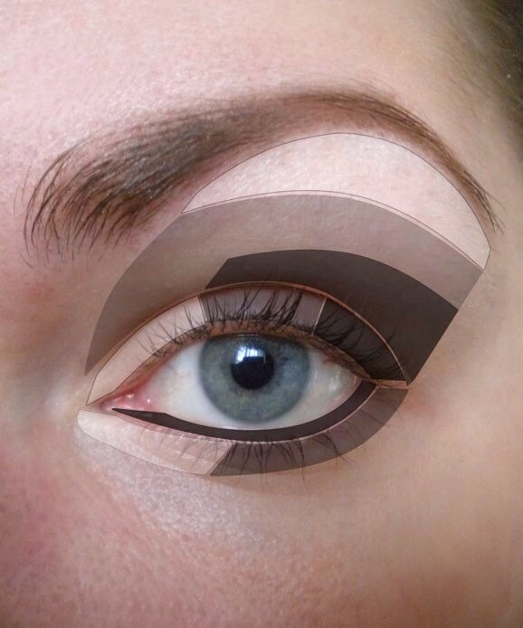Eyeshadow Diagram Best I've Seen! Musely
