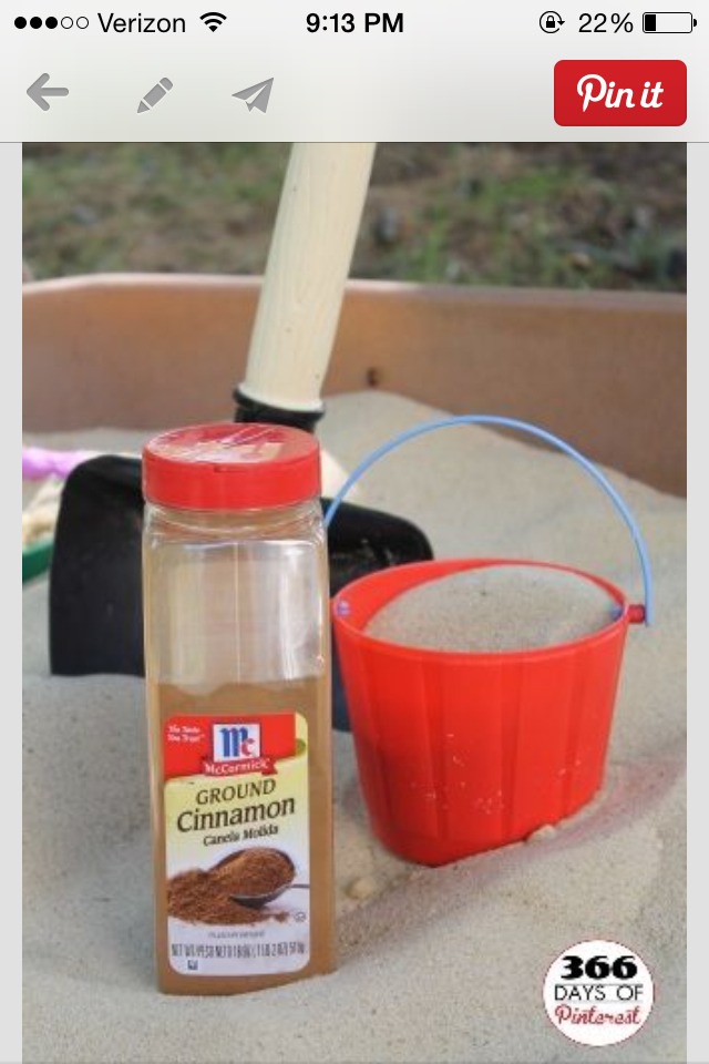 Just In Time For Playing Outside! Cinnamon In The Sand Box Will Help