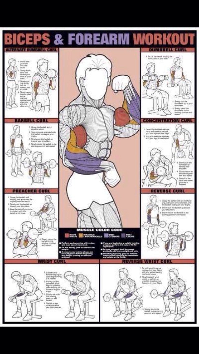 Best Workouts For Arms and Shoulders Musely