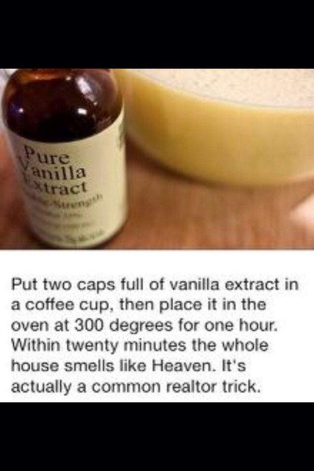 how to your to track a scent how to make your house smell like heaven musely how to your to track a scent how to make your house smell like heaven musely