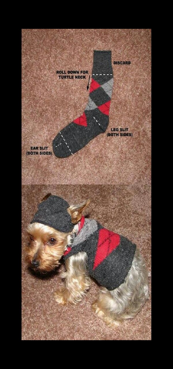 you can make a small sock sweater for your dog Trusper
