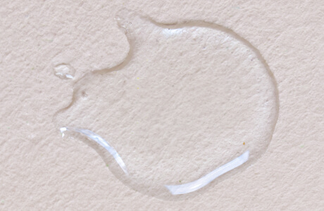 Camellia Sinensis (Green Tea) Leaf Extract