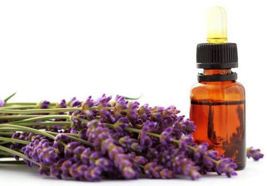 Lavender Essential Oil 10 ml Lavender Essential Oil 10 ml