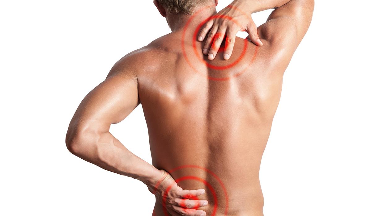 Nipain Arthritis & Muscle All Natural Pain Relief Cream (5g) - image 6