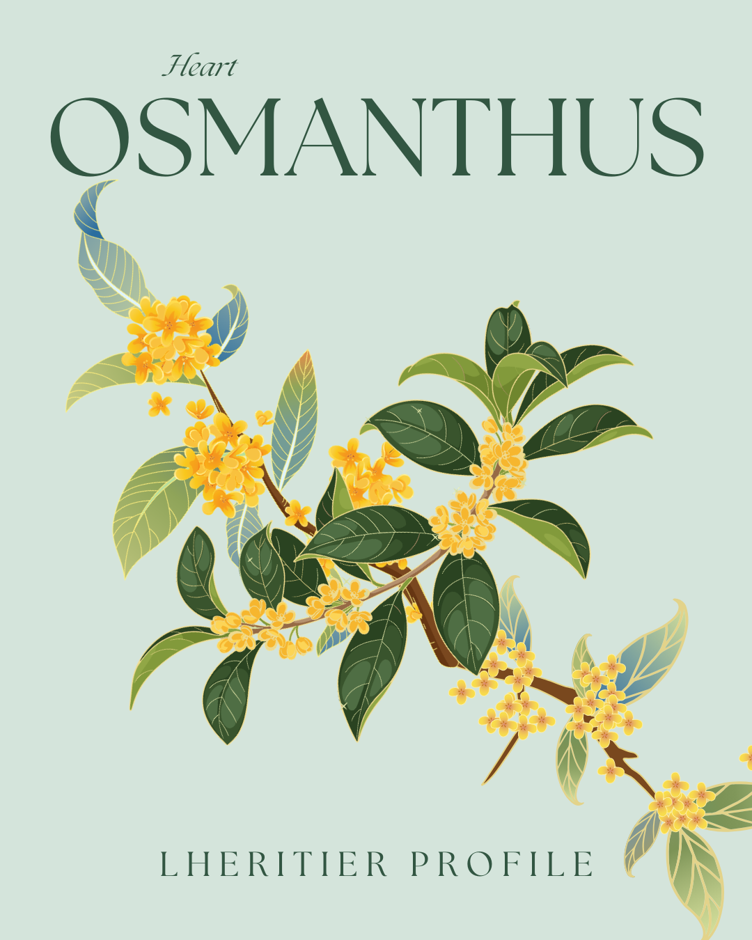Osmanthus Eau de Parfum 100ml (Vegan) - image 4