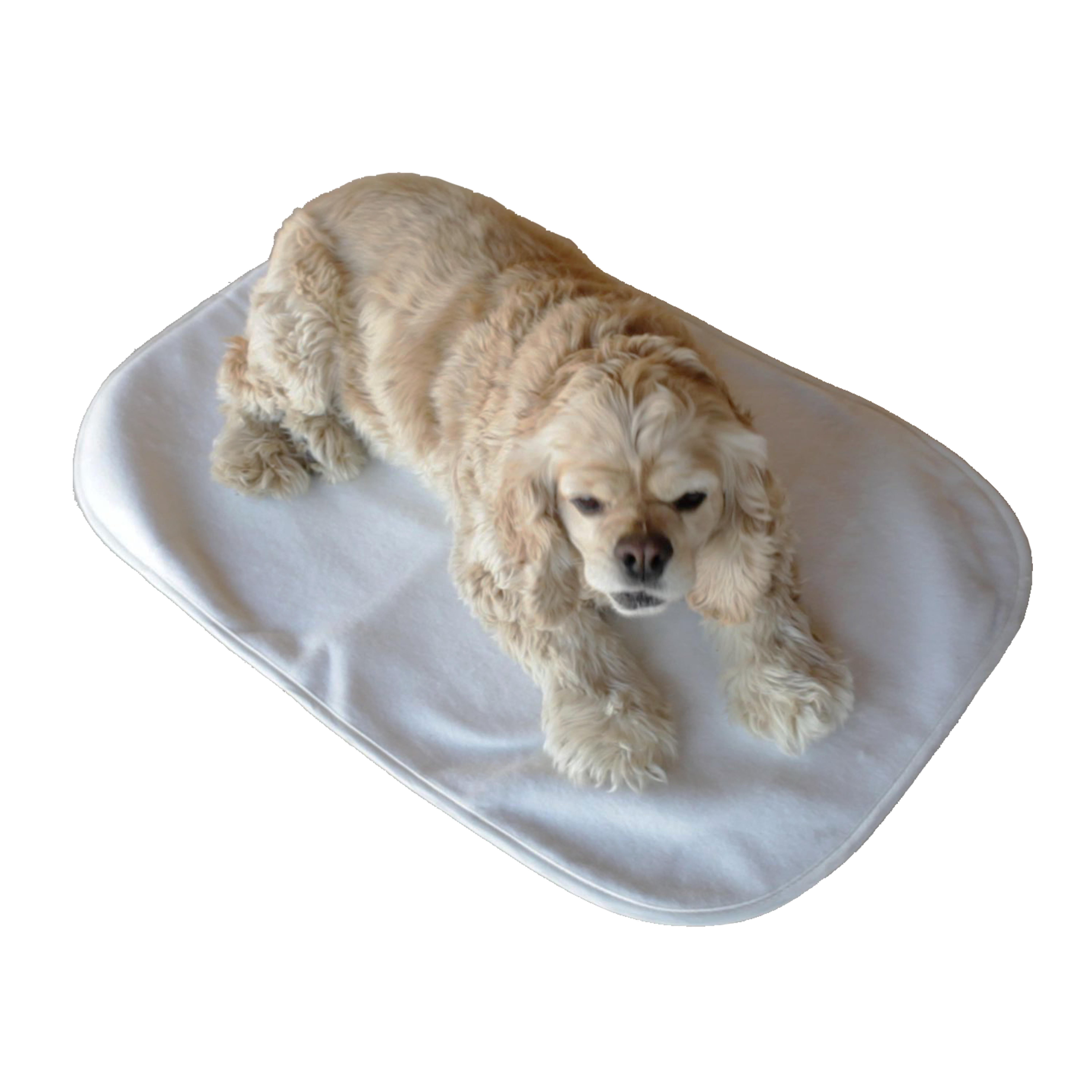 Self-Warming Dog Mat - S Self-Warming Dog Mat - S