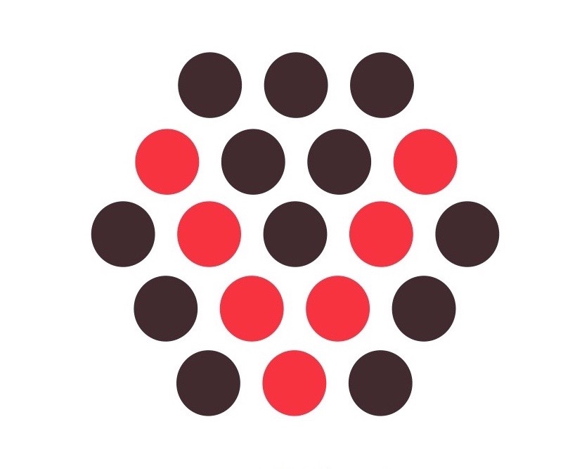 Virgin Raw Foods Virgin Raw Foods's logo