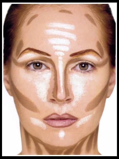 where to highlight and contour by tess mclellan musely where to highlight