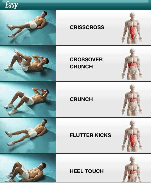 Full Body Workouts And What Muscles They Target Musely