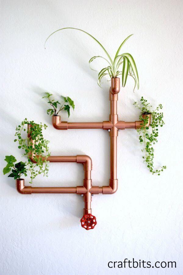 Great Ideas To Grow Plants In Pvc Tubes! Musely