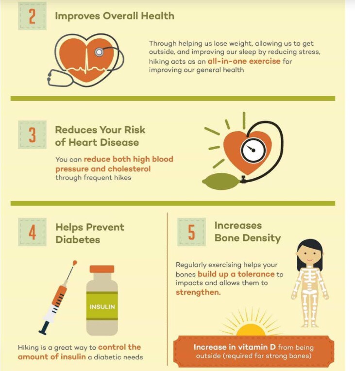 11 Benefits Of Hiking - Musely