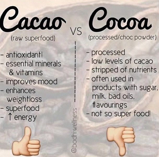 The Difference Between Cocao And Cocoa Musely The Difference Between Cocao And Cocoa Musely