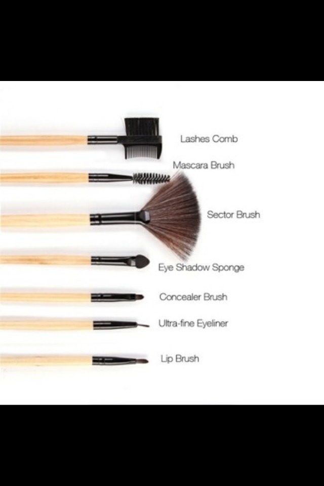 How To Tell Your Brushes Apart And Properly Use Them 💖💪💖 Musely