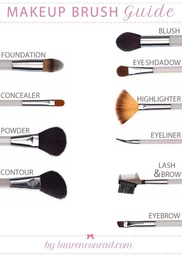 Know Your Brushes Musely