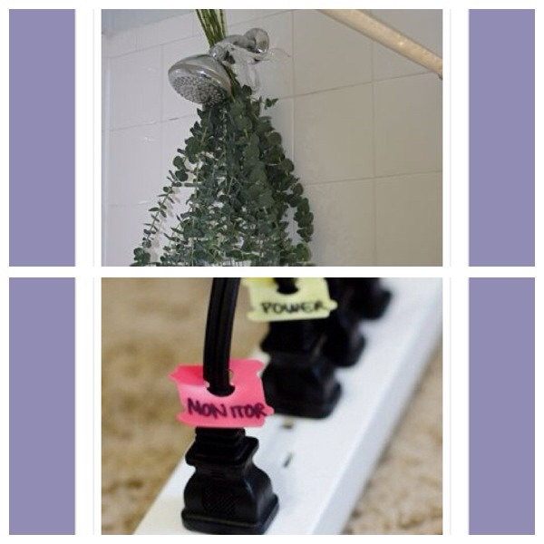 How To Tie Eucalyptus To Shower Head at William Godin blog