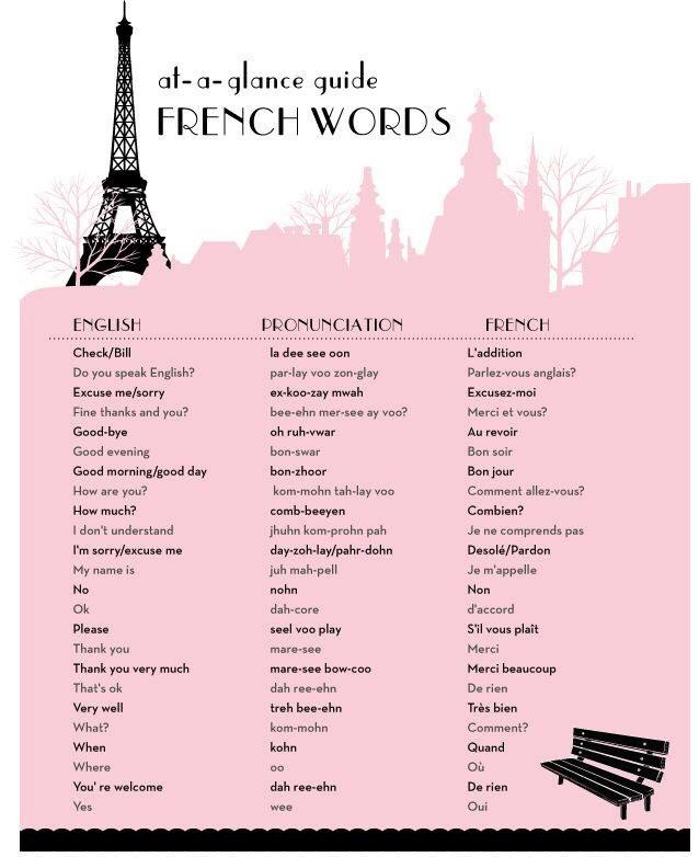 Basic French Words Musely