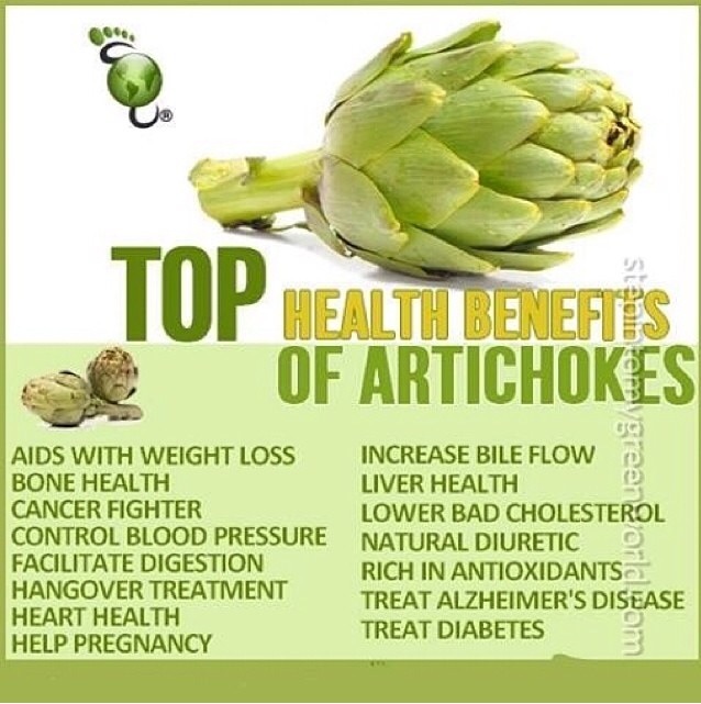 Artichoke Benefits Musely
