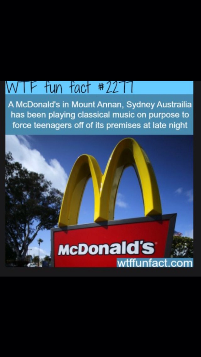Interesting Fun Facts Musely