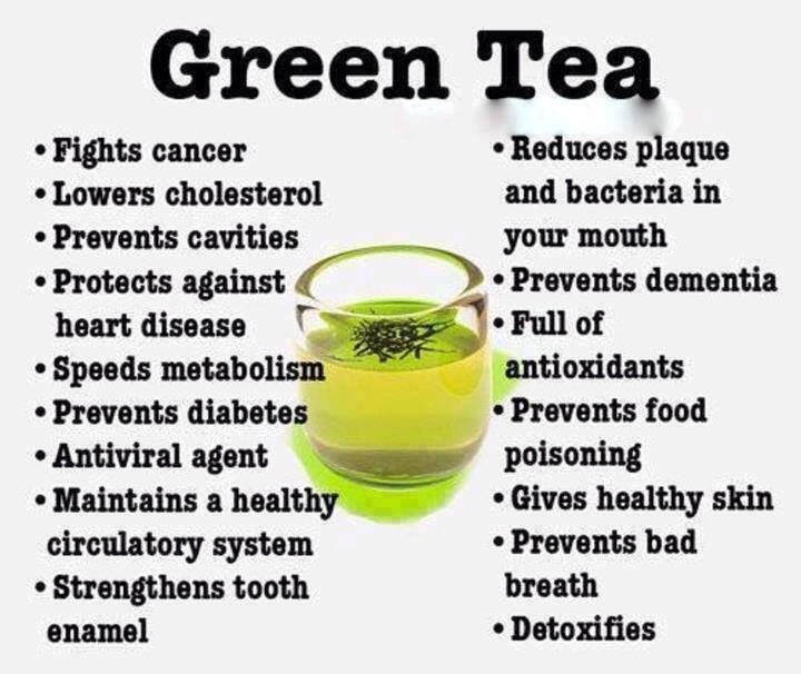 Why Drink Green Tea? - Musely