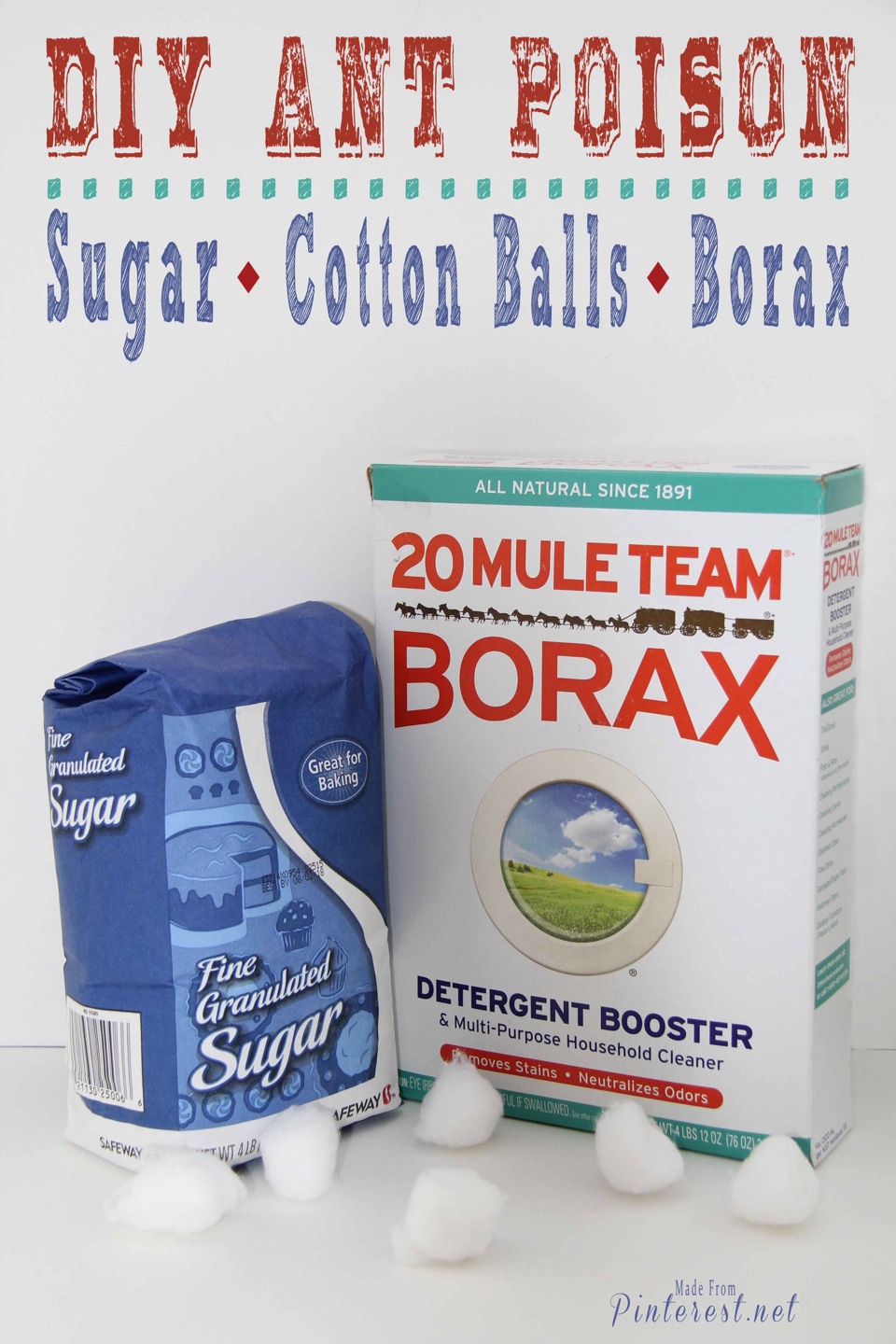 Get Rid Of Ants With Borax Musely