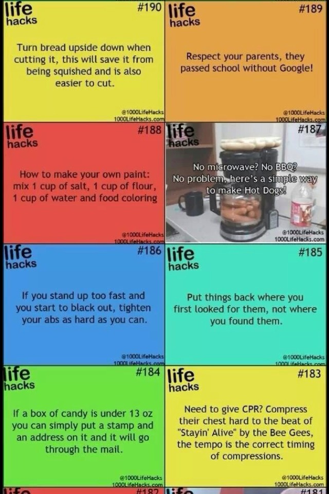 Life Hack For Everything To Know Musely