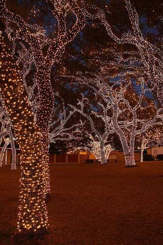 How To Wrap A Tree With Lights By Chelsey Malone Musely Tree With Lights By Chelsey Malone