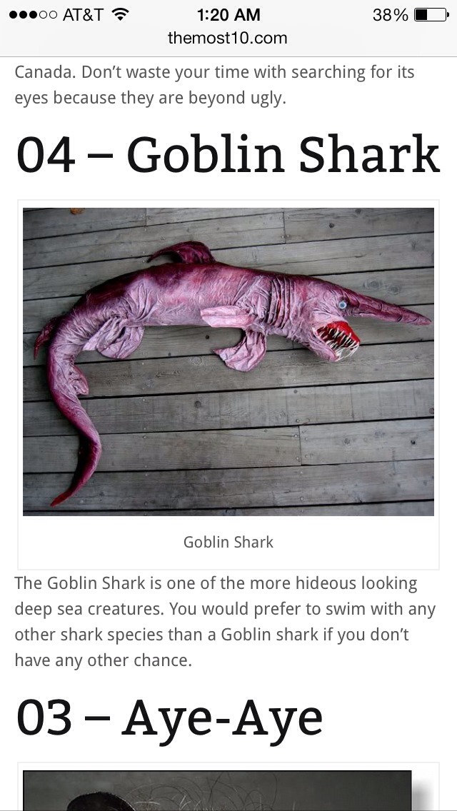 The Goblin Shark - Musely
