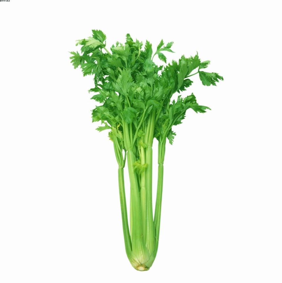 Does Celery Burn More Calories at Shirley Gutierrez blog
