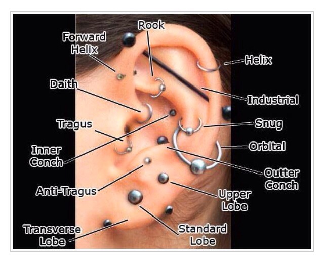 Ear Piercings Types! - Musely