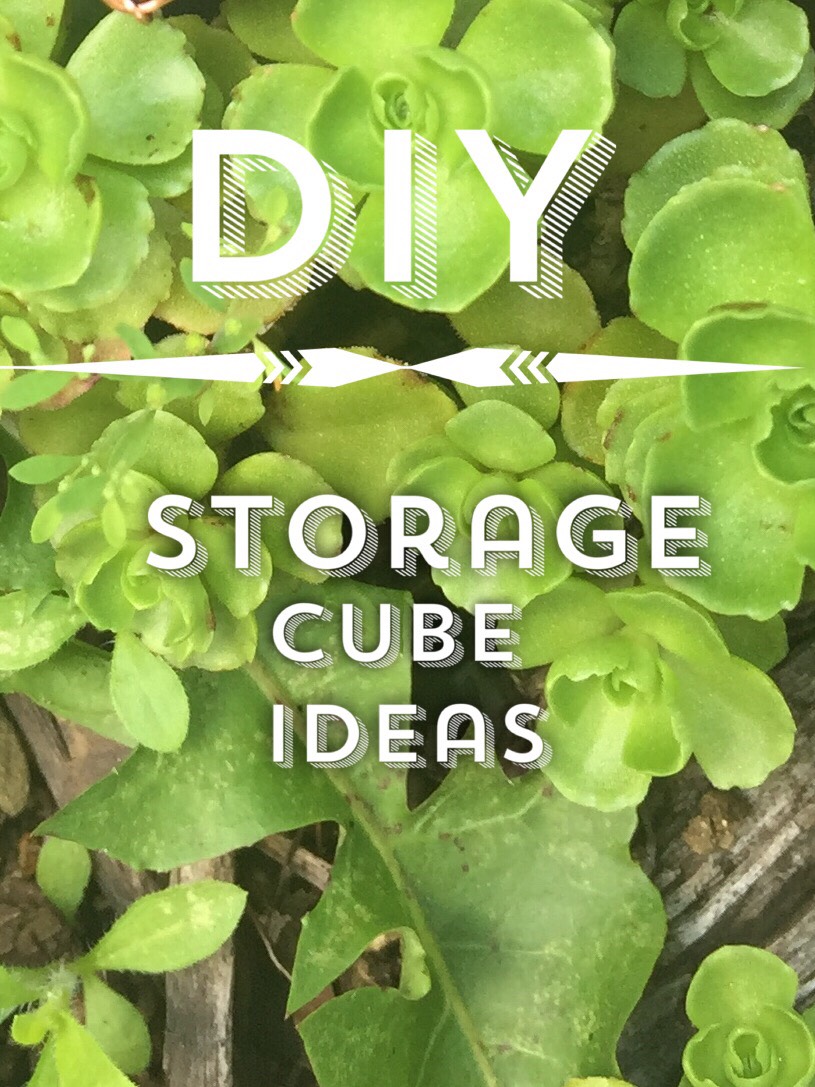 Diy Storage Cube Ideas Musely