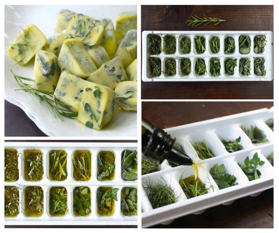 Freeze Your Fresh Herbs In Olive Oil! Musely