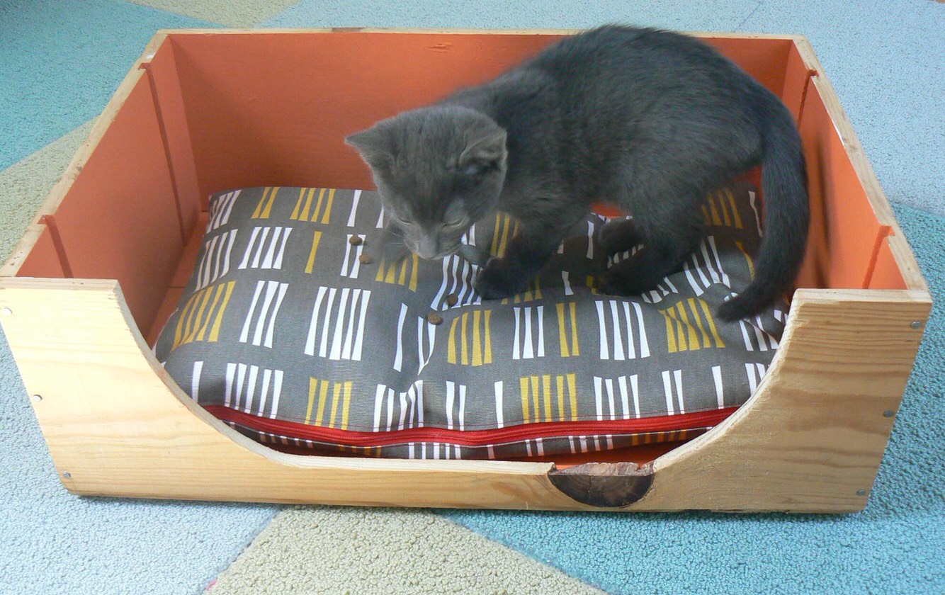 DIY Cat Beds Musely