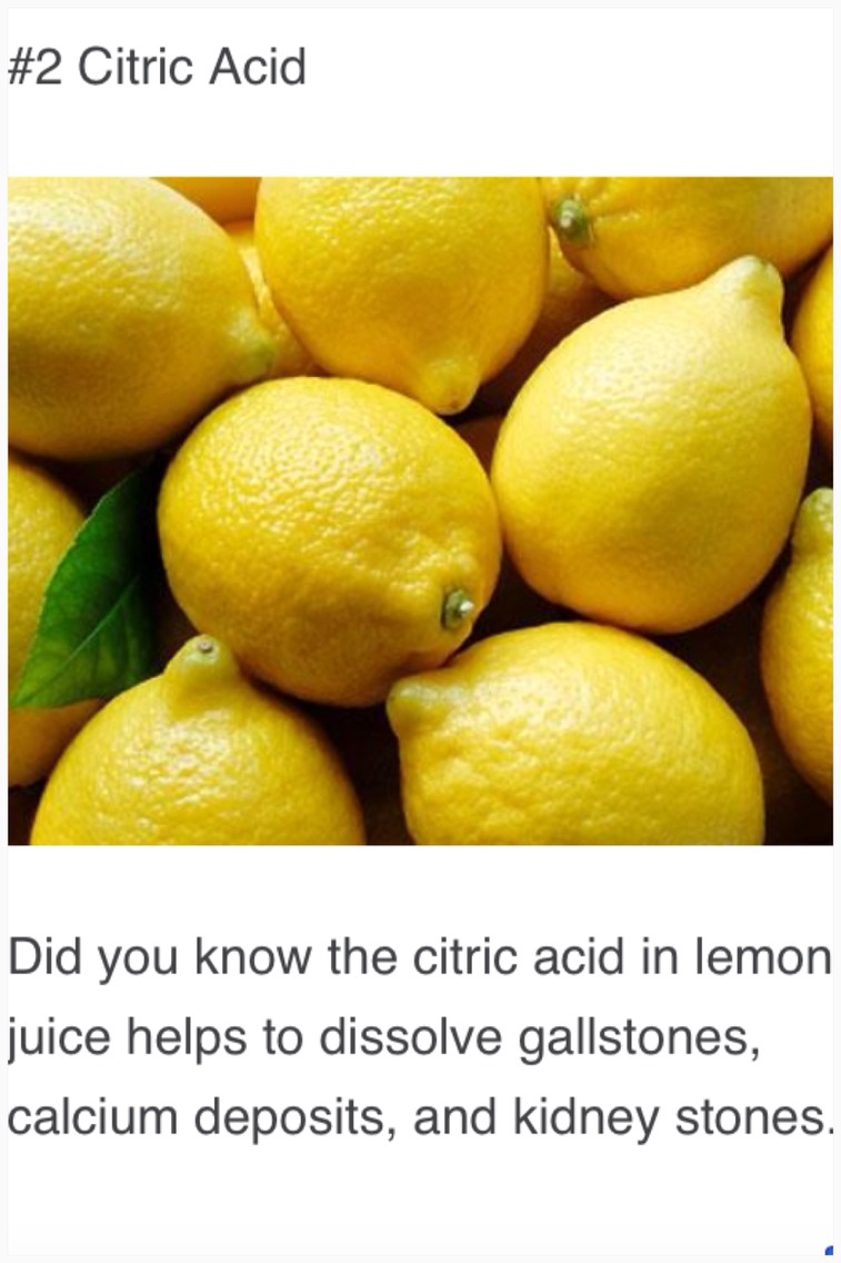 Лимон хона. Лимон верна. Лимон верна. Лимон верна. Дерево лимон дичка.