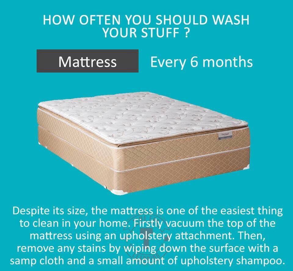 How Often Should You Wash Everything In Your Home??? Musely