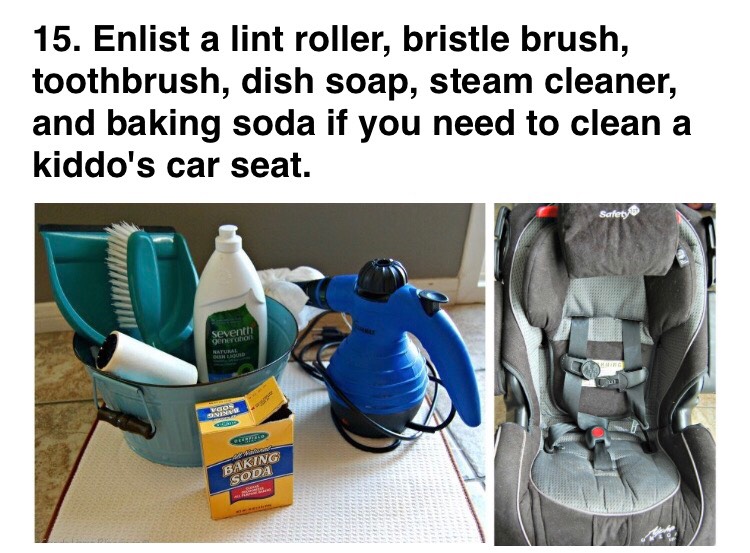 Deep Clean Your Car Musely