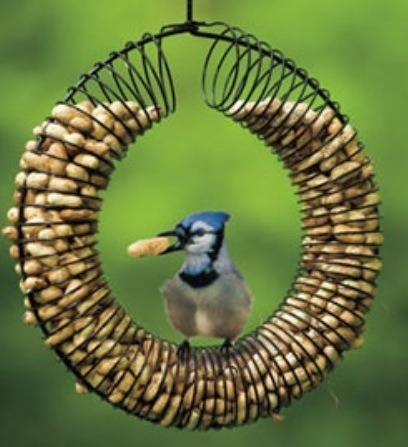 Repurpose An Unwanted Slinky To Make A Pretty Bird Feeder By