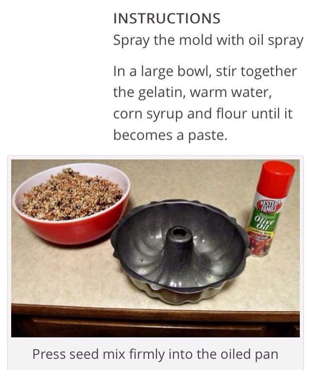 How To Make A Bird Seed Wreath 💚 Musely