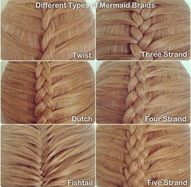 Different Types Of Braids Musely Different Types Of Braids Musely